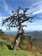 06-BlueRidgeParkway