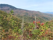 08-BlueRidgeParkway