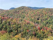 11-BlueRidgeParkway