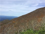 21-BlueRidgeParkway