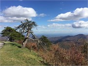 04-MtMitchell