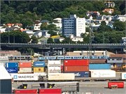 341-IMG_1554