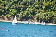 425-03-Picton_and_MalboroughNZ