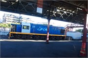 442-07-TaieriGorgeRR_NZ