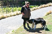 029-26-PencarrowStationNZ