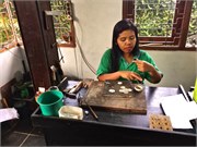 065-41-Central_Java