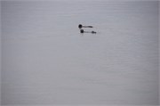 012-010-MorrowBay