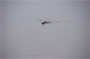 013-011-MorrowBay