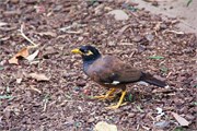 025-10-Featherdale