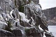 072-43-BruneyIsland