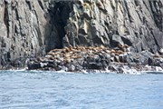 077-61-BruneyIsland