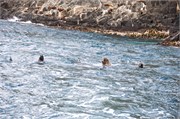 081-65-BruneyIsland