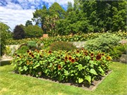 097-16-BotanicalGardens