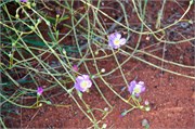 112-25-Uluru-Day1