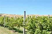 119-15-PencarrowStationNZ