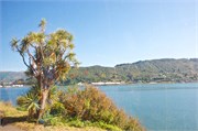 175-32-Dunedin-NZ
