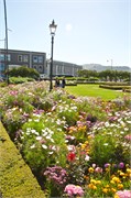 176-41-Dunedin-NZ