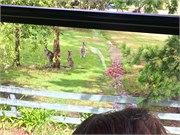 177-05-Eden-Australia