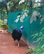 206-02-RainForestStation