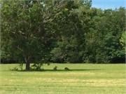 239-38-DarwinAustralia