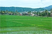 263-12-Central_Java