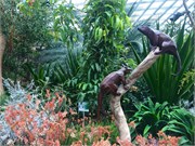 300-08-FlowerDome