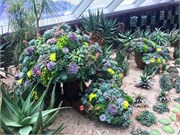324-43-FlowerDome