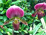 340-30-CloudForest