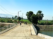 IMG_4925