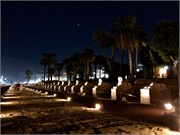 IMG_5048