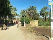 IMG_5191