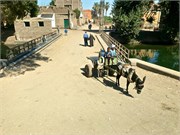 IMG_5257