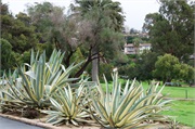 07-MissionSantaBarbara