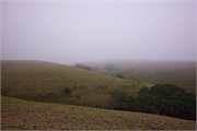 007-HearstCastle