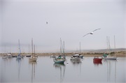 008-MorrowBay