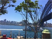 06-Sydney