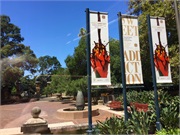36-Sydney