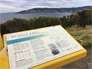 50-HobartTramTour
