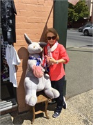 54-HobartTramTour