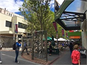 57-HobartTramTour