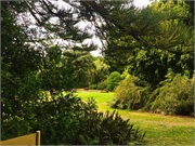 07-BotanicalGardens