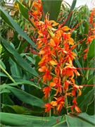 17-BotanicalGardens