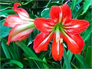 20-BotanicalGardens