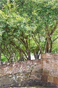 82-Port-Arthur