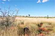 13-Uluru-Day1