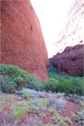 23-KataTjuta