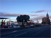 22-AucklandNZ