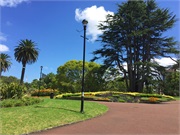 22-Auckland-Insignia