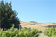 16-PencarrowStationNZ