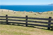 17-PencarrowStationNZ